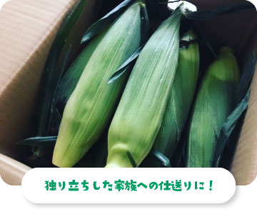 集まりで美味しい野菜をつかいたい！